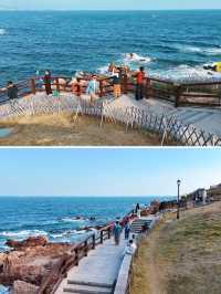 【青島春日限定｜3天2夜浪漫櫻花海攻略】