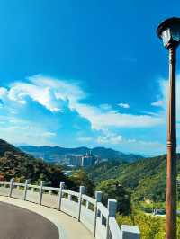 深圳陽臺山森林公園 | 城市中的自然寶藏