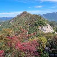 韓國聞慶市 鳥嶺山—攀登雲霧繚繞的韓劇仙境！