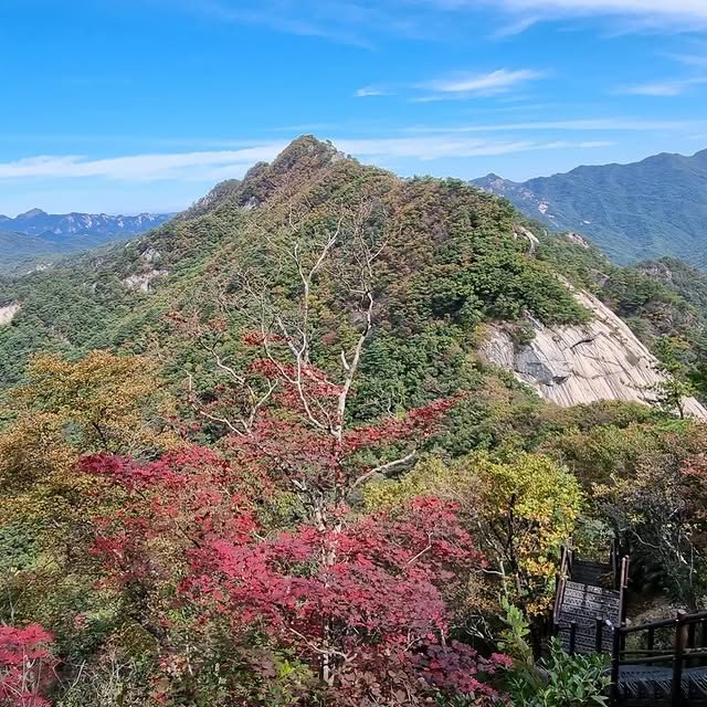 韓國聞慶市 鳥嶺山—攀登雲霧繚繞的韓劇仙境！