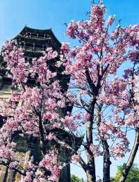 𝐐𝐮𝐚𝐧𝐙𝐡𝐨𝐮泉州｜「半城煙火半城仙」