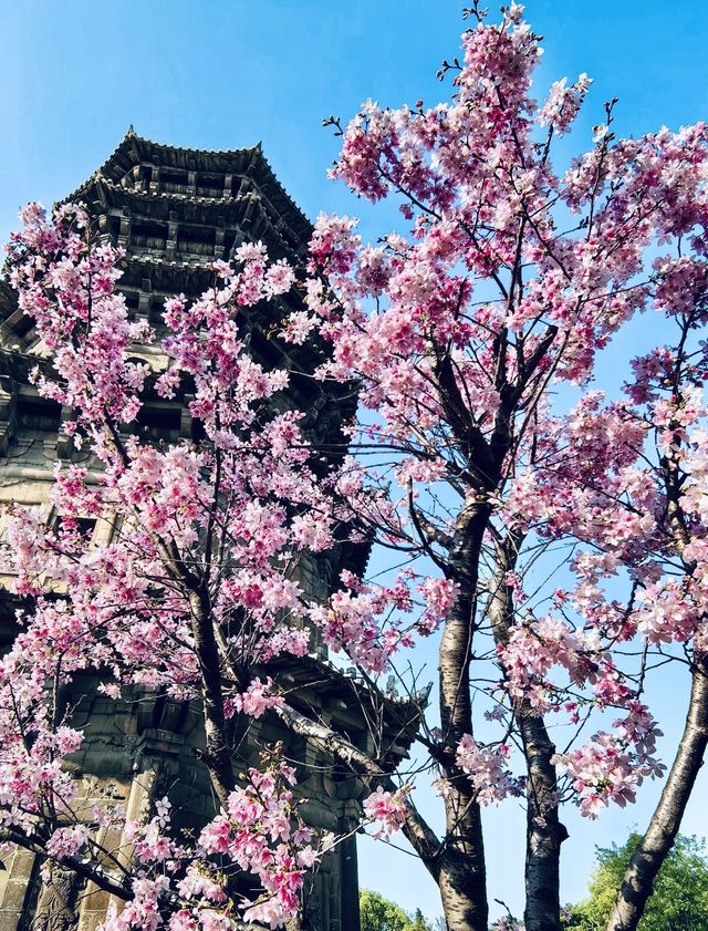 𝐐𝐮𝐚𝐧𝐙𝐡𝐨𝐮泉州｜「半城煙火半城仙」