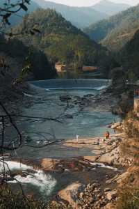 春天就要上春山，一起去武夷山品茗