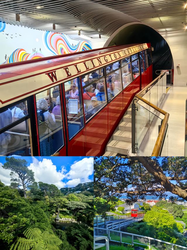新西蘭威靈頓，必打卡的百年纜車