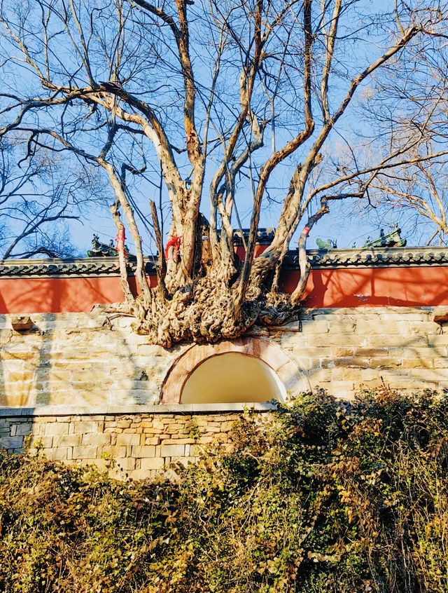 山東濟南，靈巖寺，