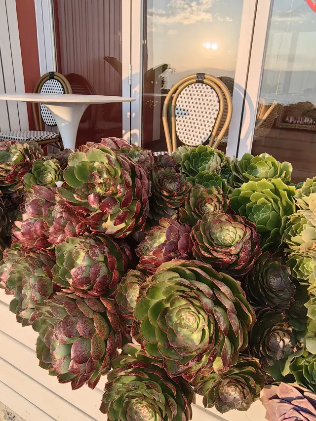 Qingming Spring Outing: Kunming and other destinations are stunning, don't miss out!