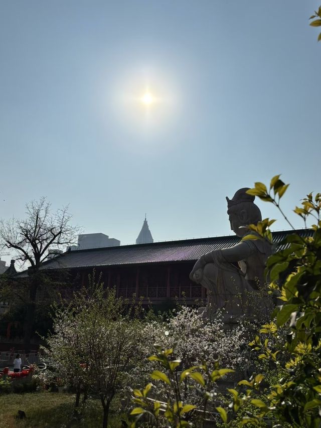 南京毗盧寺，一個來之前一定要做攻略的寺廟