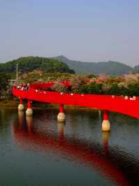 🌉深圳虹橋公園，夢幻打卡地