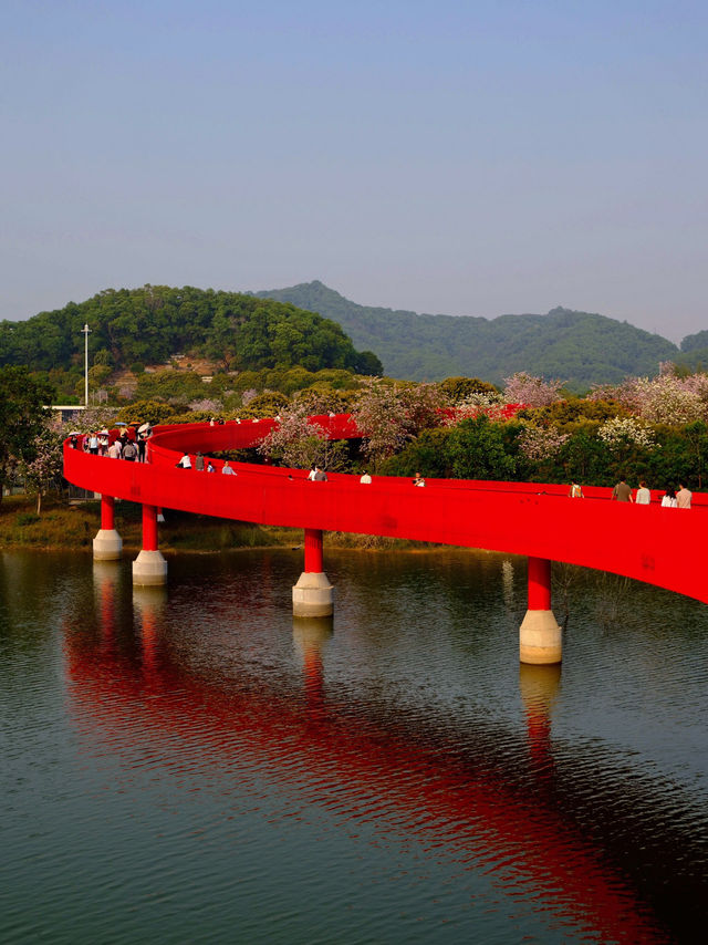 🌉深圳虹橋公園，夢幻打卡地