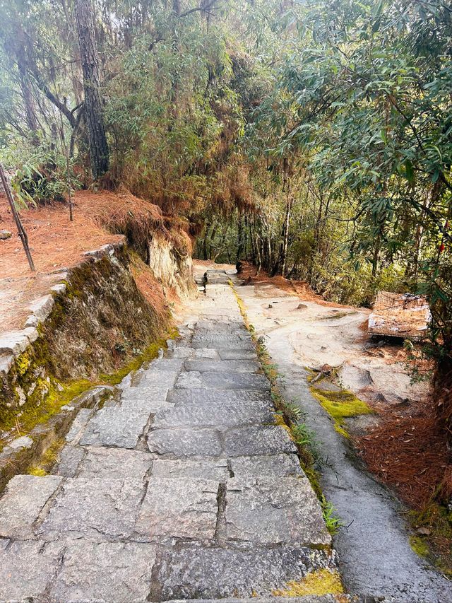 隨州雲峰山——藏喺山霧入面嘅綠野仙蹤