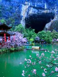 重慶酉陽桃花源春日仙境