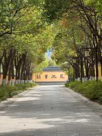 解析！泰州係咪旅遊窪地定反向旅遊嘅聖地？