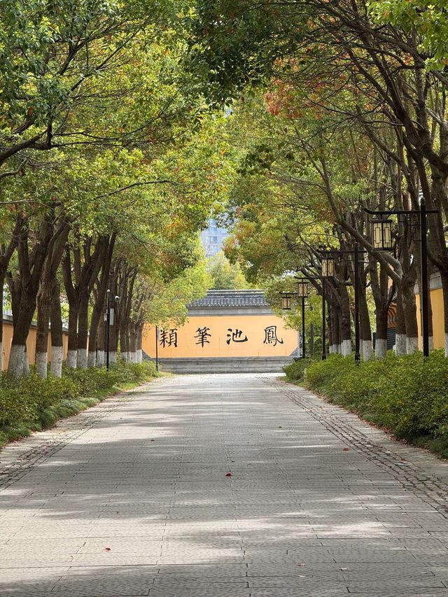 解析！泰州係咪旅遊窪地定反向旅遊嘅聖地？