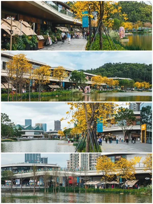 深圳大運天地，你是懂浪漫的❗❗简直不要太出片了！