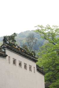 寧波尋春，免費又幽靜的天童寺簡直不要太美