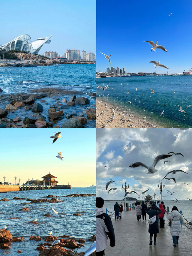 3月去的青島喲！不做攻略真的會欲哭無淚
