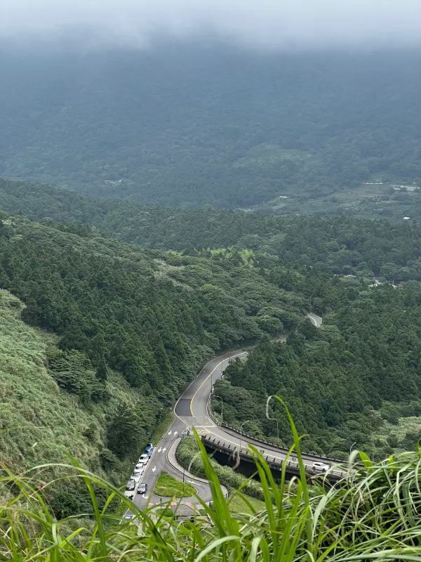 台北陽明山1日遊攻略🌋小油坑/夢幻湖/擎天崗
