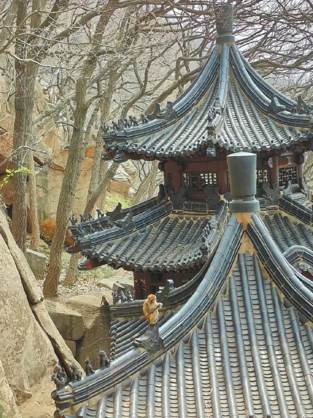 連雲港3-4月遊玩推薦攻略
