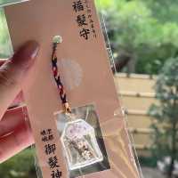日本京都御髮神社✨ 我的護髮達摩來了