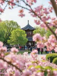 奈良櫻花四日遊：古都賞櫻全攻略