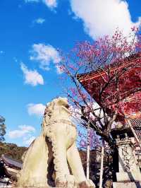 衣袂染上唐朝韻味，木屐輕敲京町——將京都的顏色穿在身上