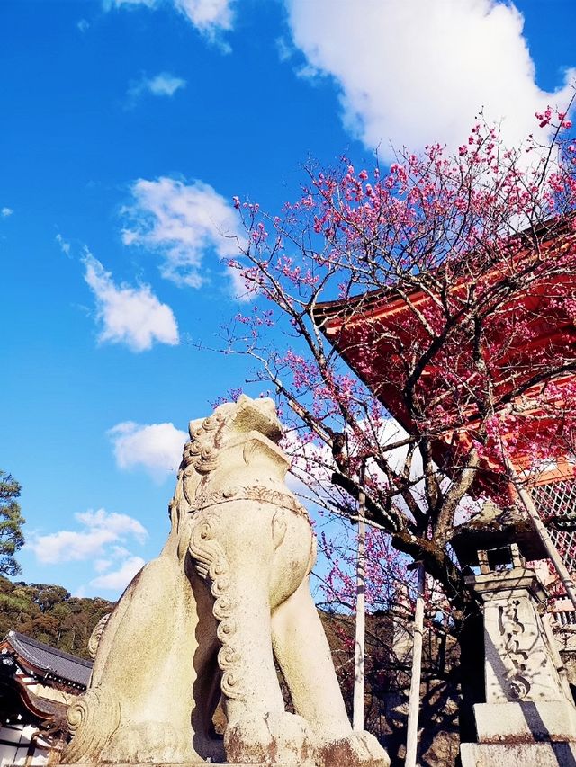 衣袂染上唐朝韻味，木屐輕敲京町——將京都的顏色穿在身上