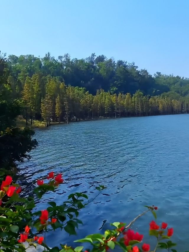 湛江三日海島風情之旅