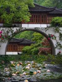 西湖小眾玩法，寶藏打卡路線不私藏