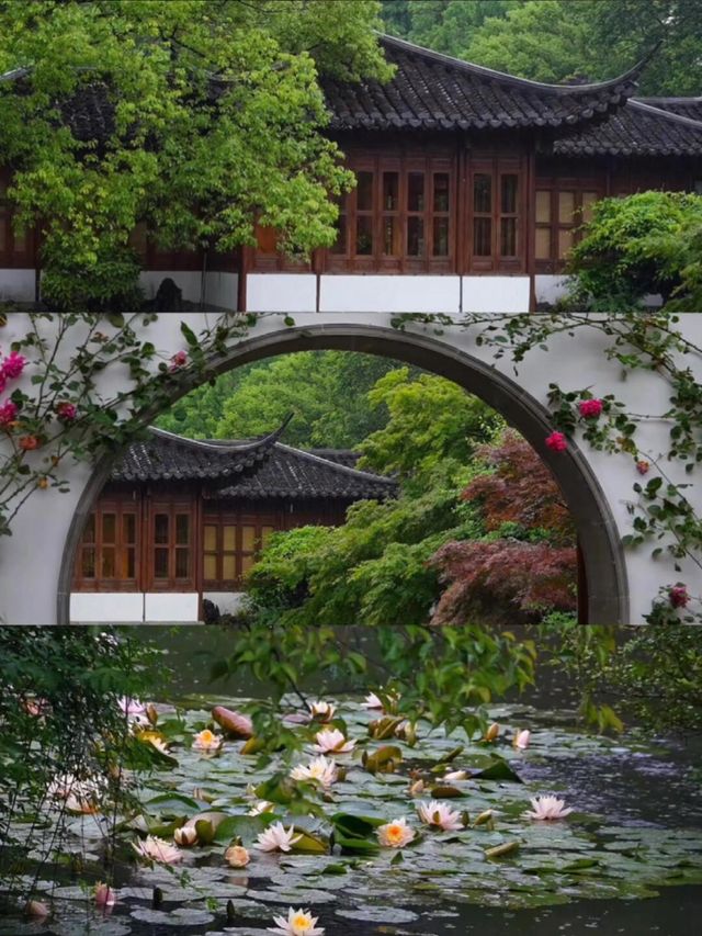 西湖小眾玩法，寶藏打卡路線不私藏