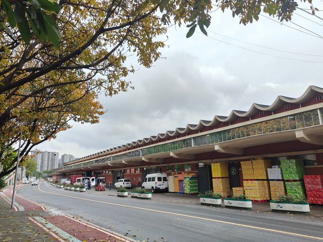 重慶南站｜那些年的鐵路記憶