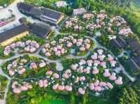福建周邊五一遊