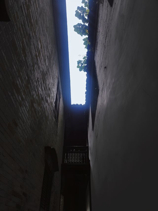我與揚州︳一眼萬年的驚鴻之戀