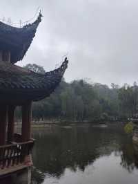 巴渝大地驚現千年瑰寶，究竟藏着什麼奧秘？