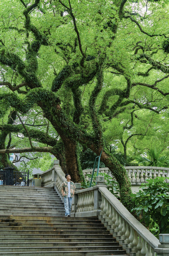 佛山真係好chill…願意去一萬次嘅生命力公園