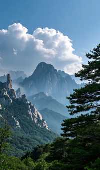 雲端之上的破曉儀式：在嶗山把黃海裝進瞳孔裡～