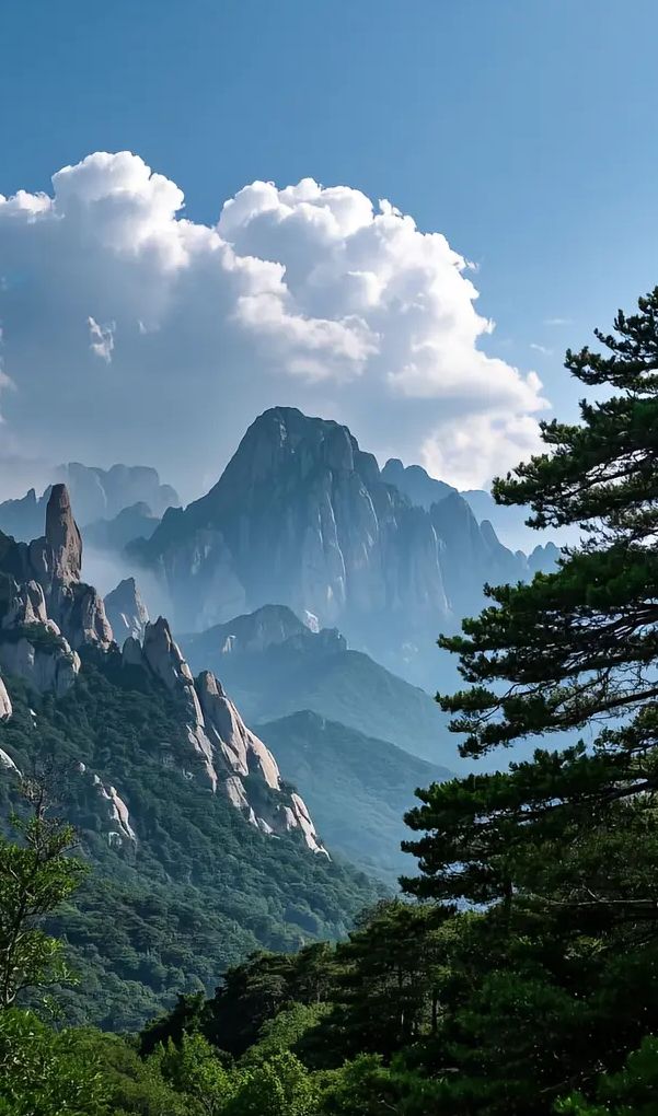 雲端之上的破曉儀式：在嶗山把黃海裝進瞳孔裡～