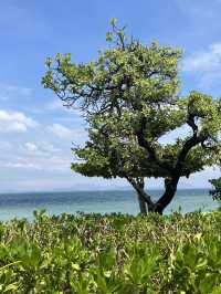 蜈支洲島｜海上仙境，邂逅夢幻之旅