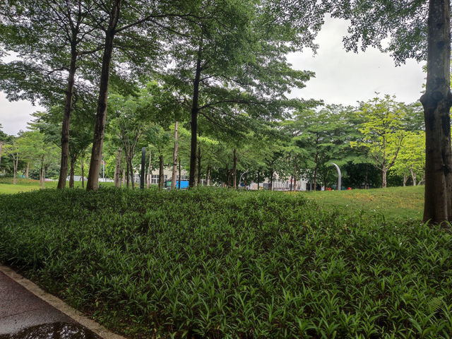 深圳時光，蔚徕酒店的精緻邂逅