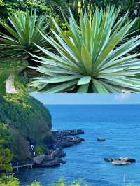 未去過潿洲島？呢份攻略請收好