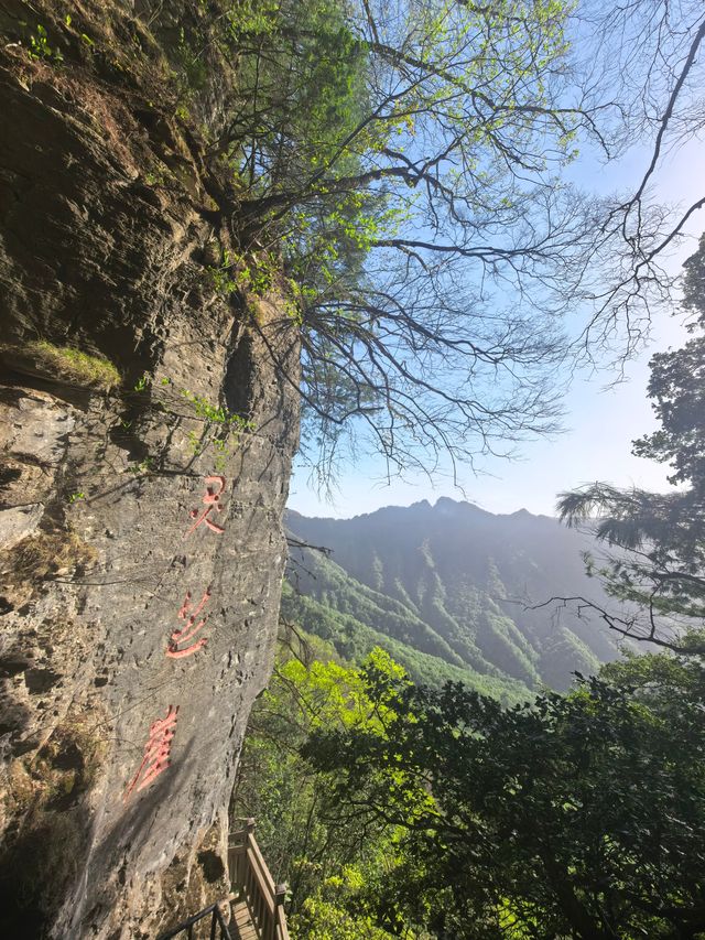 西安周邊遊｜湖北神農架