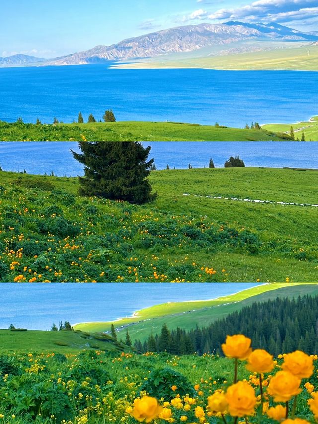 6月新疆旅行指南|伊犁草原已綠，來get小眾玩法