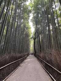 Kyoto, Japan’s Best Budget City? So Many Free Attractions! Everyone Can Come :D 