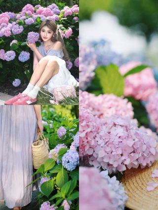 ทัวร์หยางโจวนั้นน่าสนุกมาก เช็คอินกับคนดังทางอินเทอร์เน็ตในตอนกลางวันและพักในทะเลดอกไม้ในตอนกลางคืน