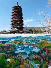 京郊人少景靚嘅避世秘境終於藏唔住啦～