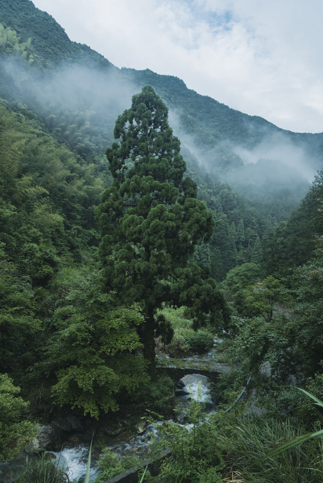 雨季嘅松陽，再次激起我隱居嘅心