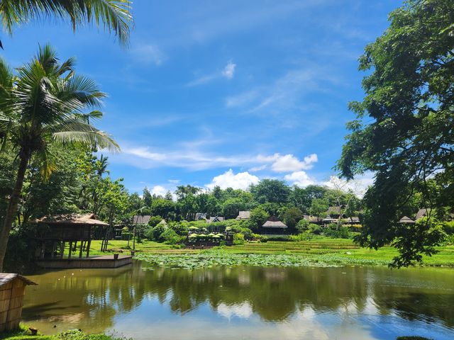 清邁嘅綠色天堂四季度假村