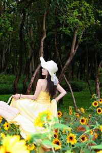 福田中心區向日葵公園 | 邂逅滿分鬆弛感的夏日