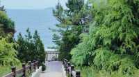 海濱城市浪漫天花板-大連！