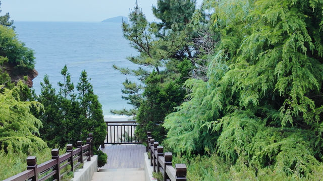 海濱城市浪漫天花板-大連！