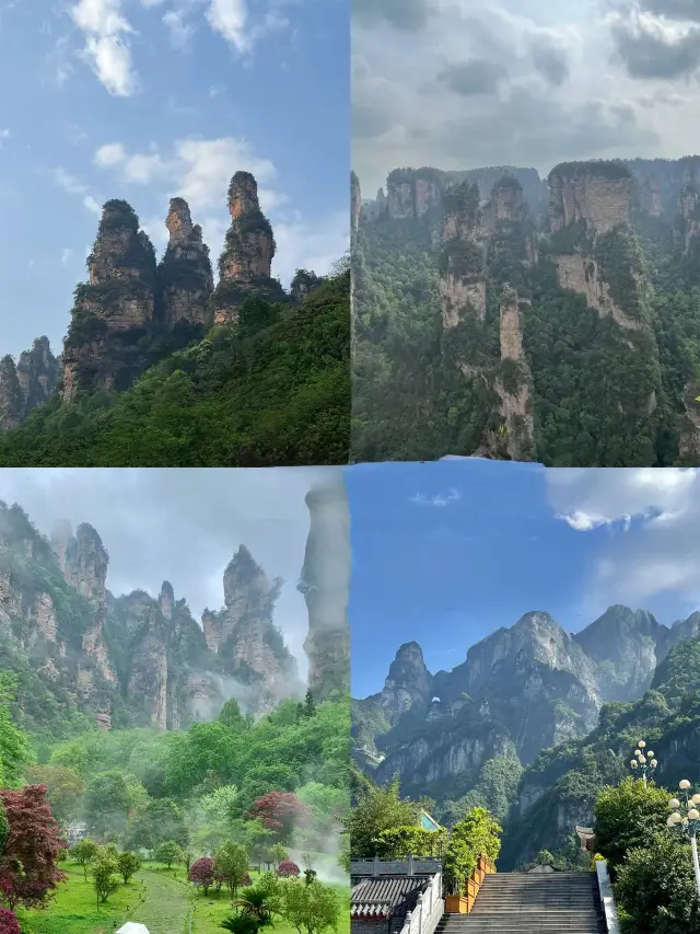 3일 2박 장가계 베이비시터급 가이드 |